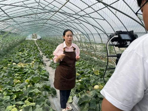 质价双优的上海地产农产品哪里买 快来该平台,365天直播不间断